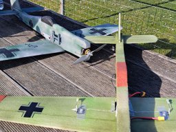 fliegen0803 2
